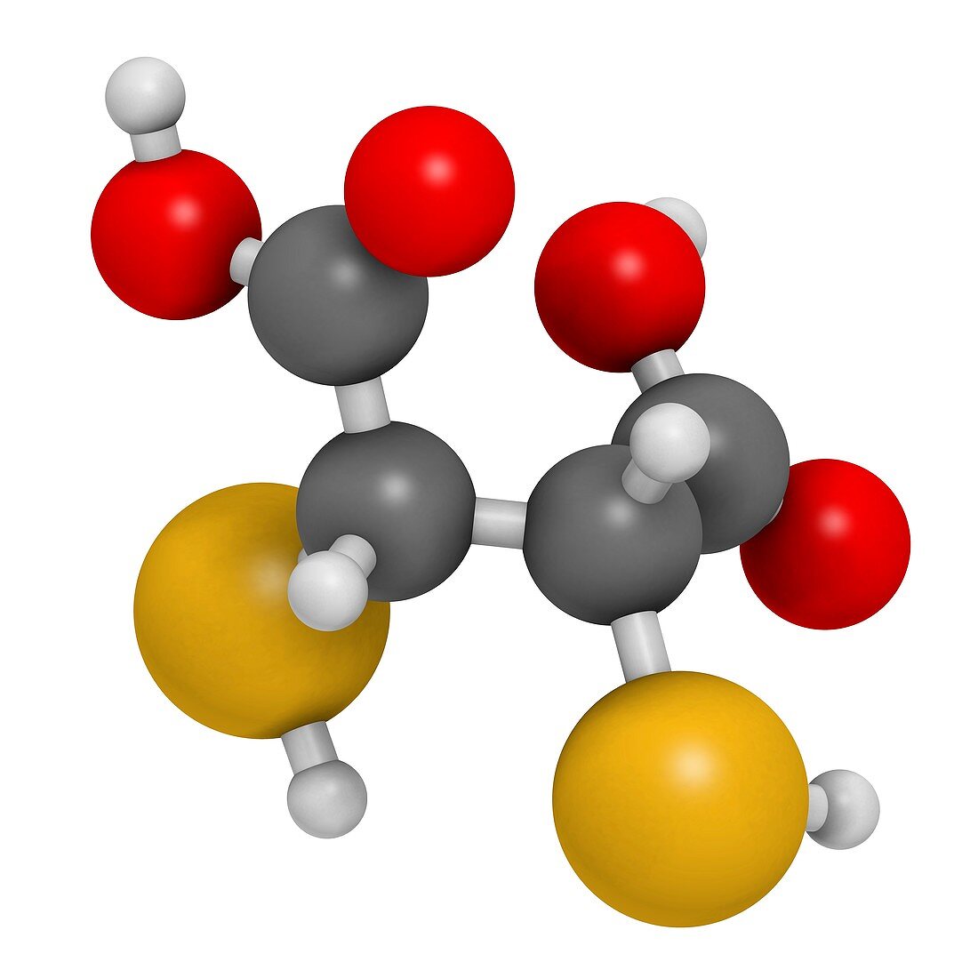 Succimer acid molecule