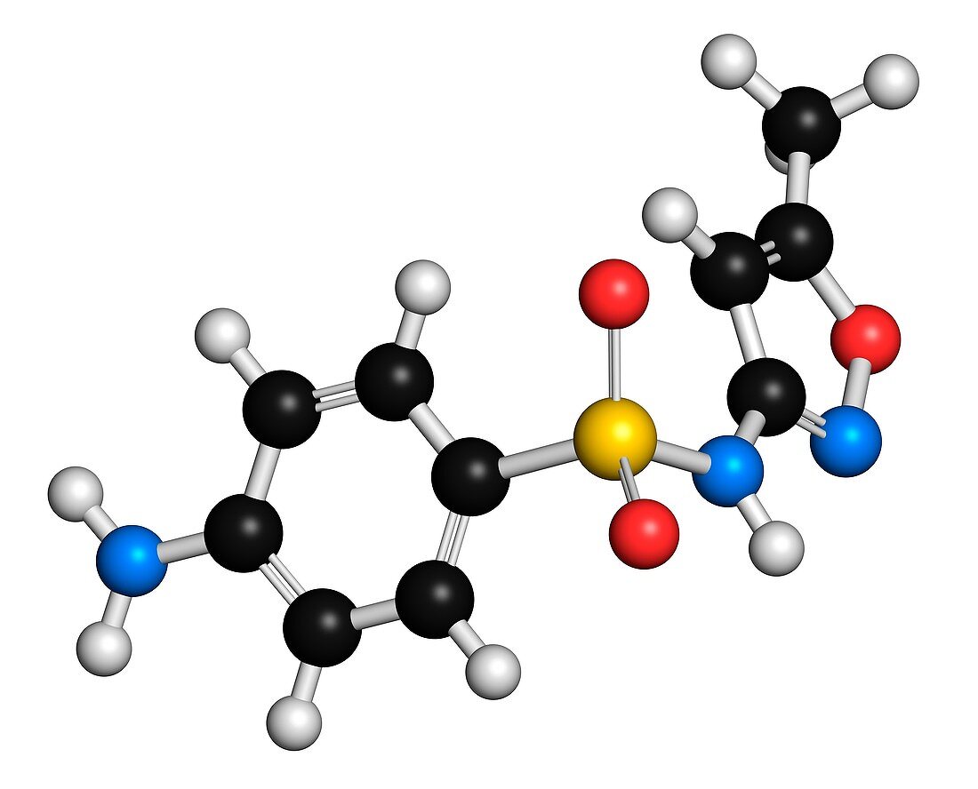 Sulfamethoxazole antibiotic drug molecule