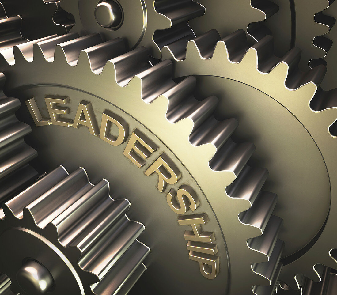 Gears with the word 'leadership'