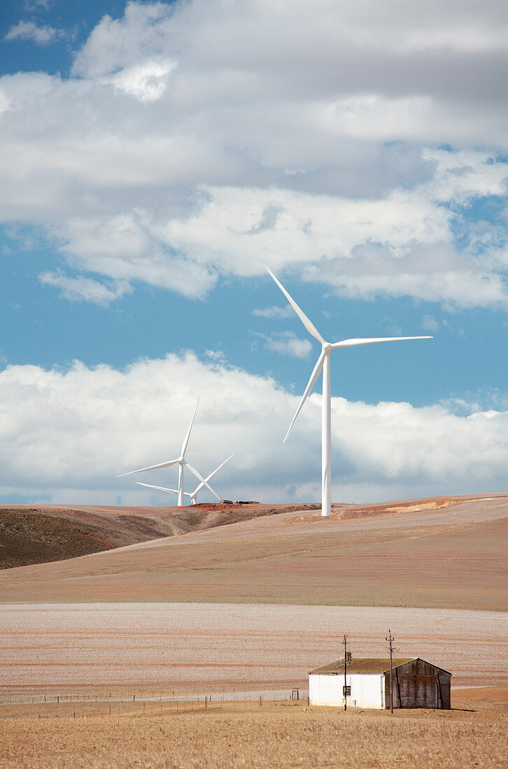 Windfarm,Western Cape,South Africa