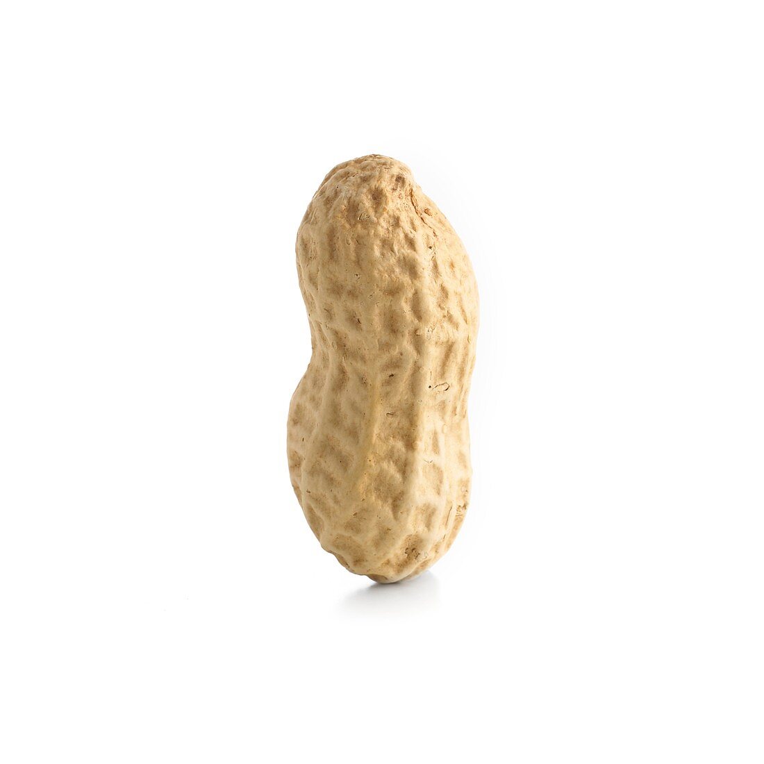 Peanut shell