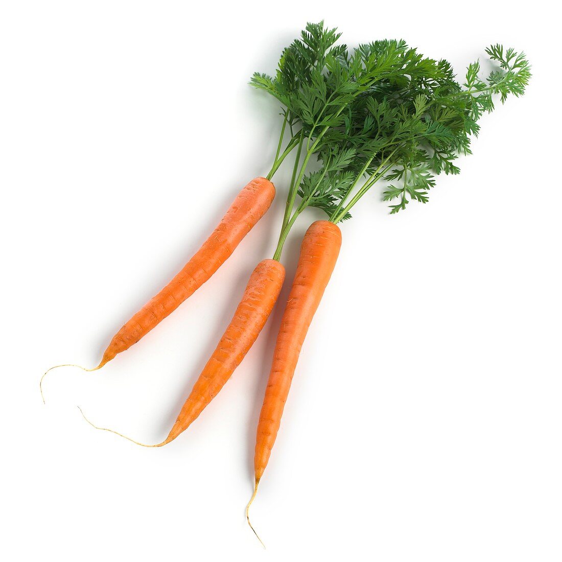 Carrots