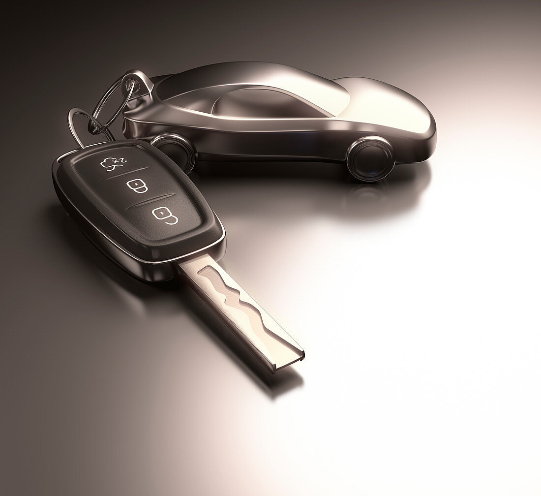 Car key and key ring