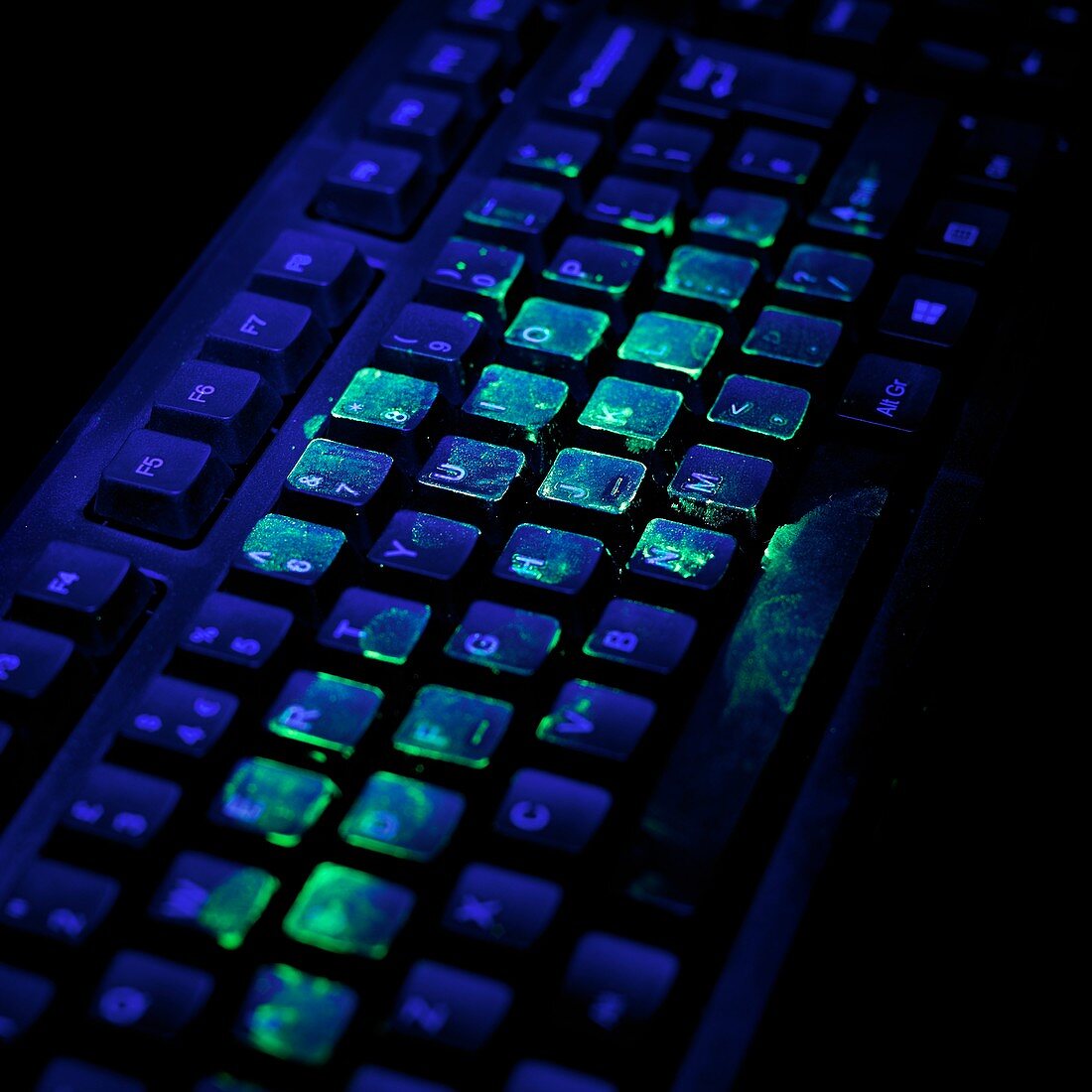 UV light showing bacteria on keyboard