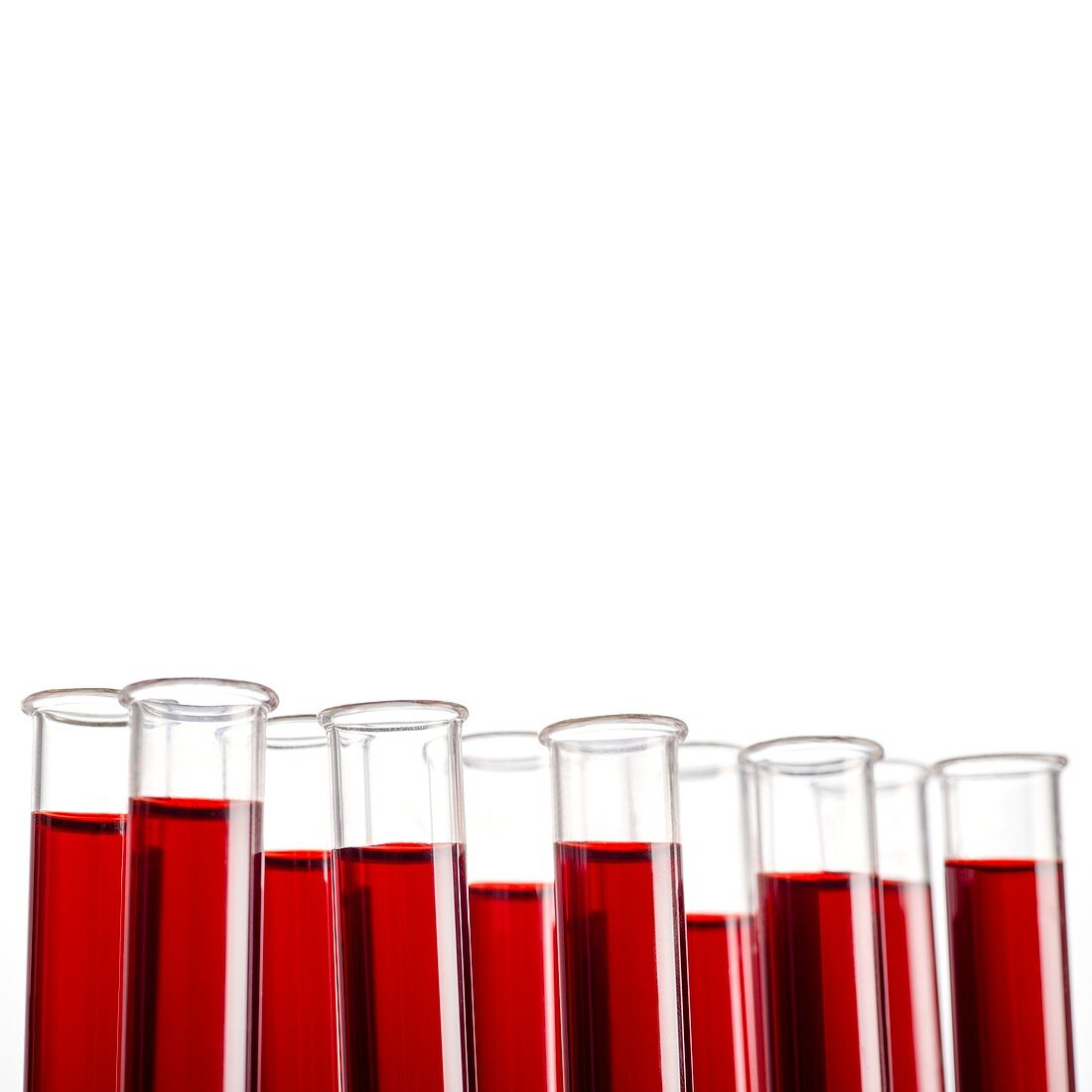 Blood samples in test tubes