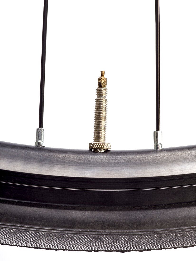 Bicycle tyre valve