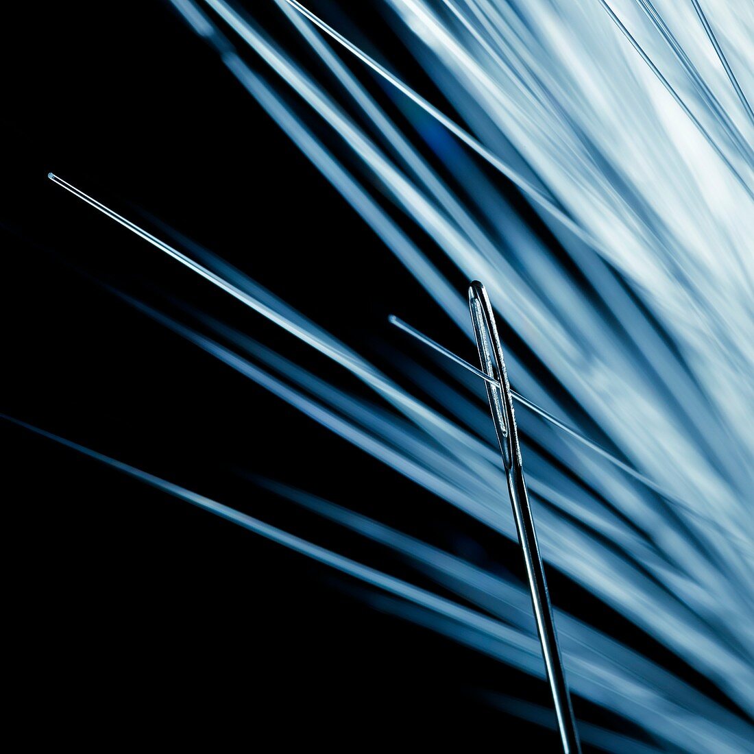 Fibre optic and needle