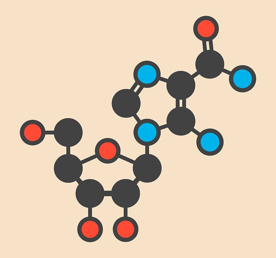 Acadesine molecule