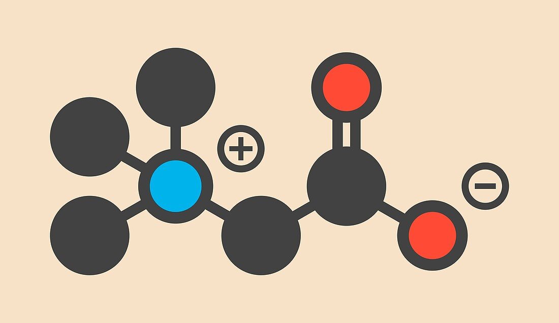 Betaine molecule