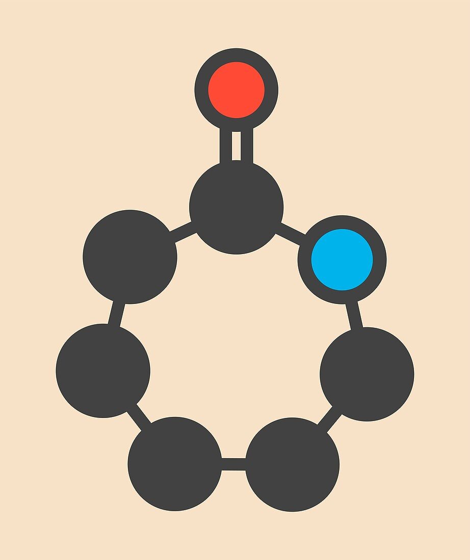 Caprolactam molecule