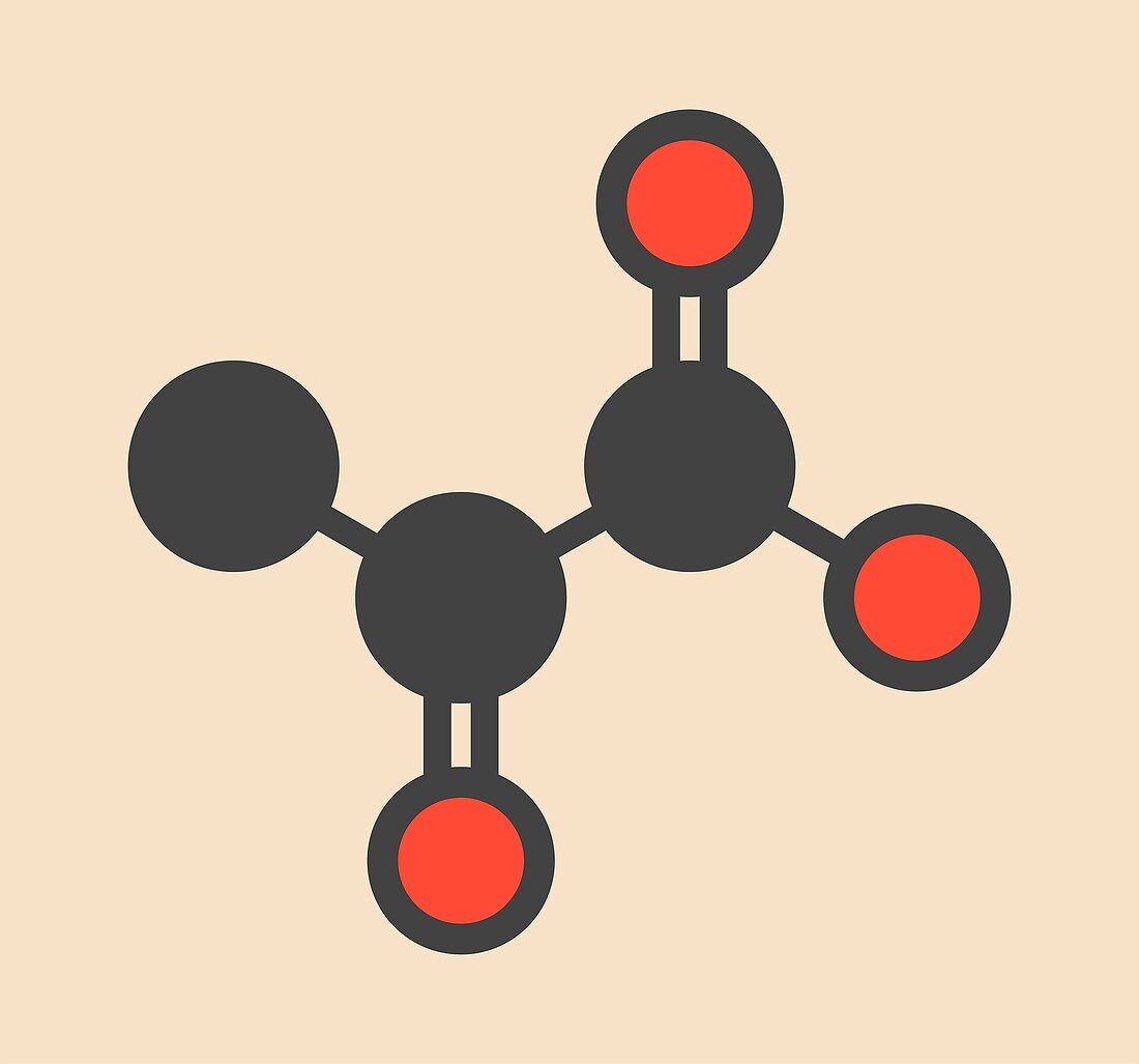 Pyruvic acid molecule