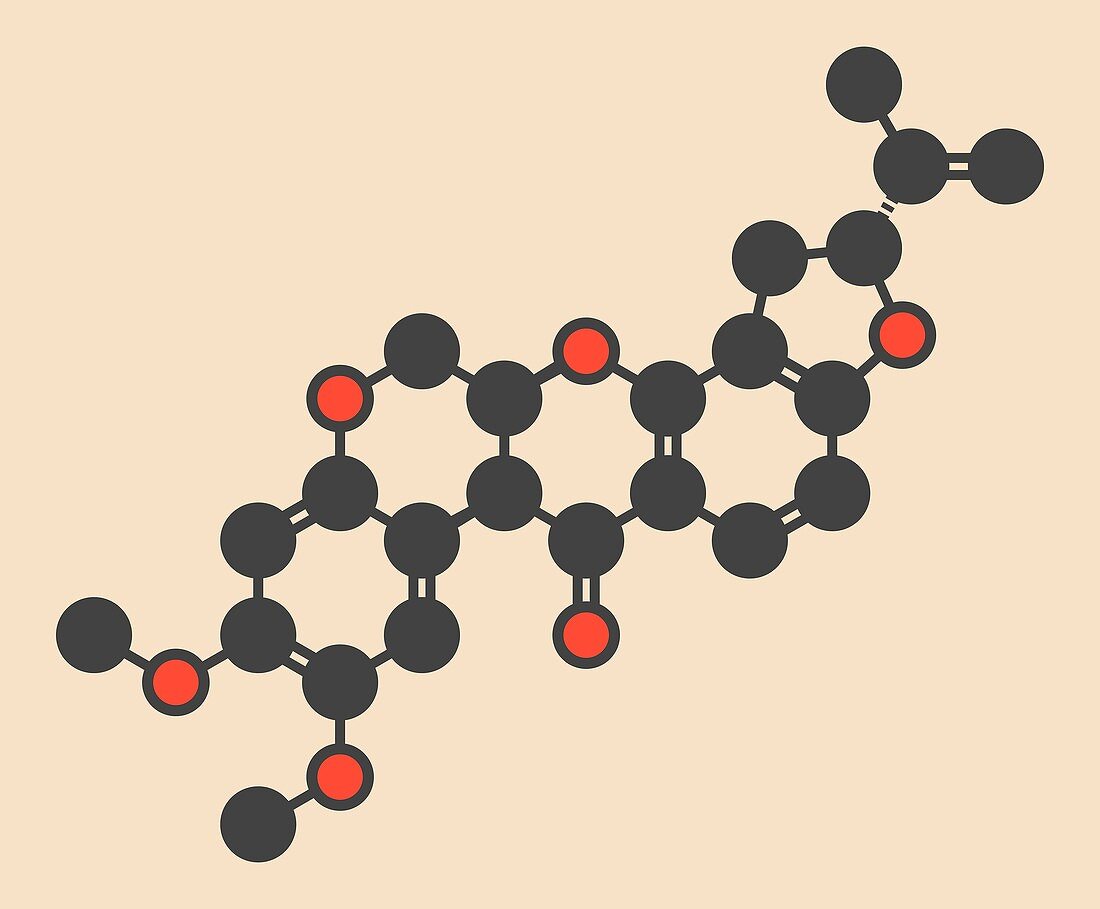 Rotenone insecticide molecule