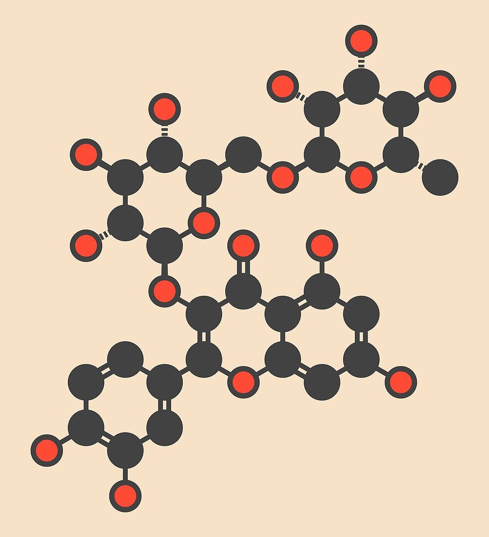 Rutin molecule