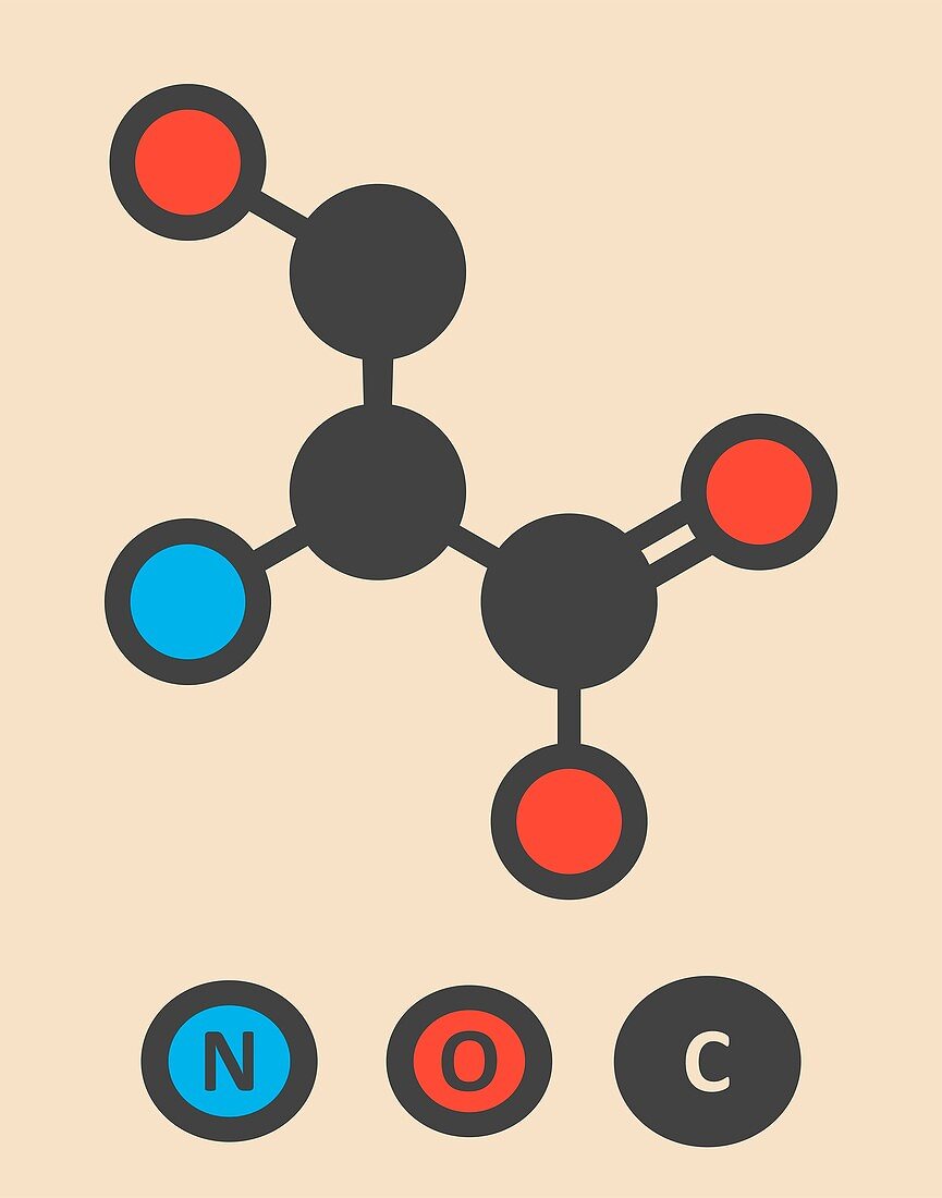 Serine amino acid molecule
