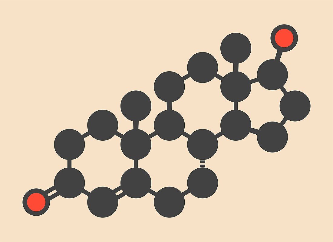 Testosterone male sex hormone molecule