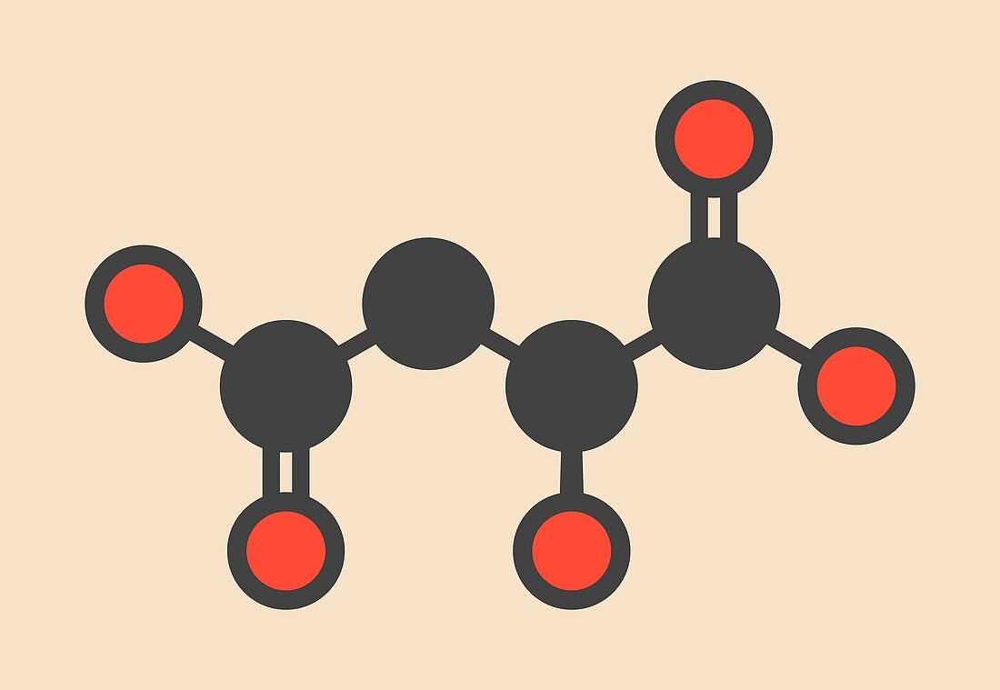 Malic acid fruit acid molecule