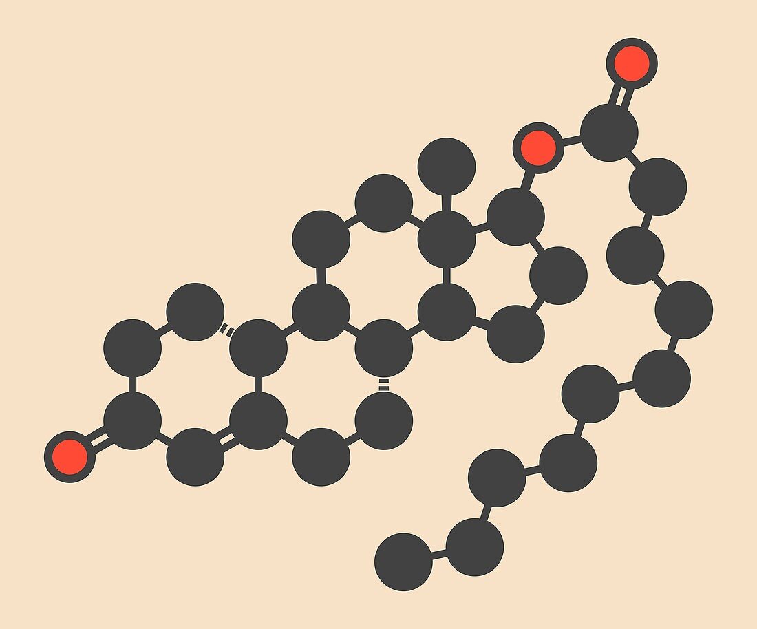 Nandrolone anabolic steroid molecule