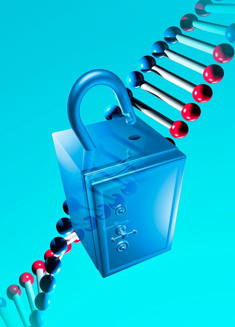 DNA and safe,illustration