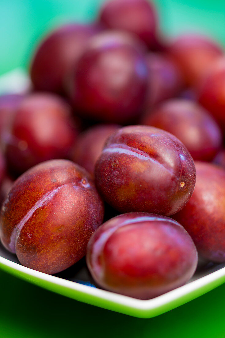 Herman English plums
