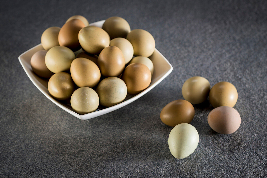 Pheasant eggs