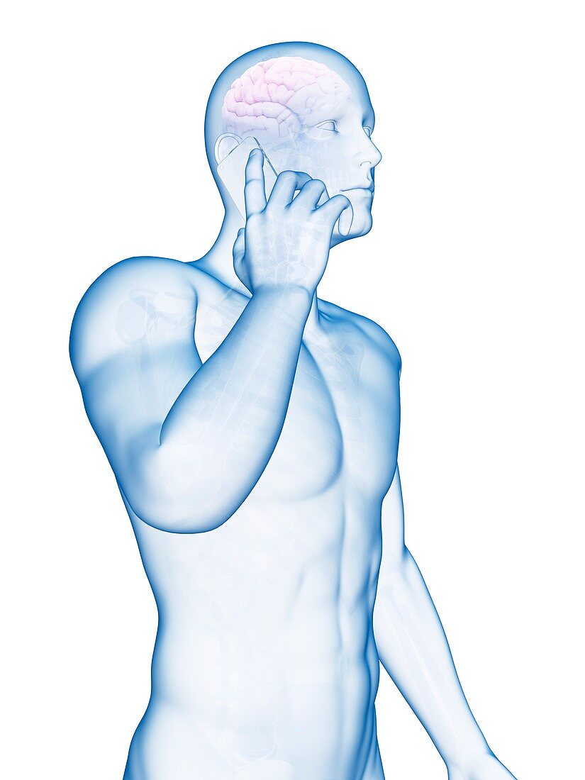 Cell phone and human brain,Illustration