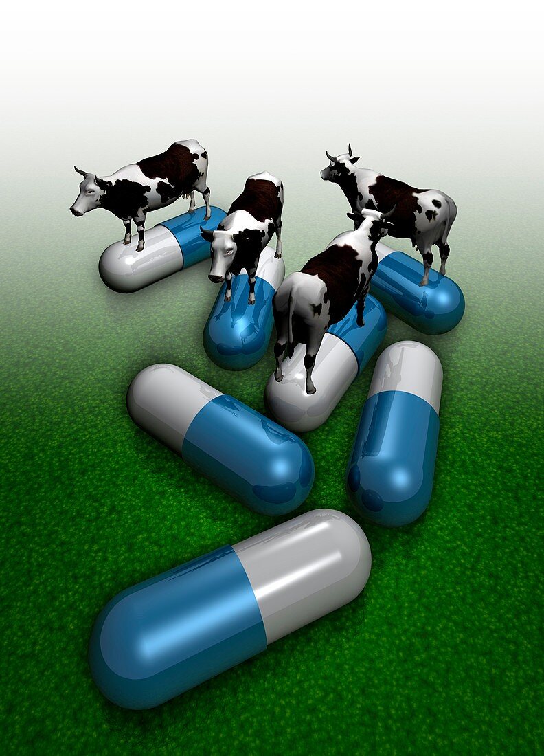 Antibiotics in farming,Illustration