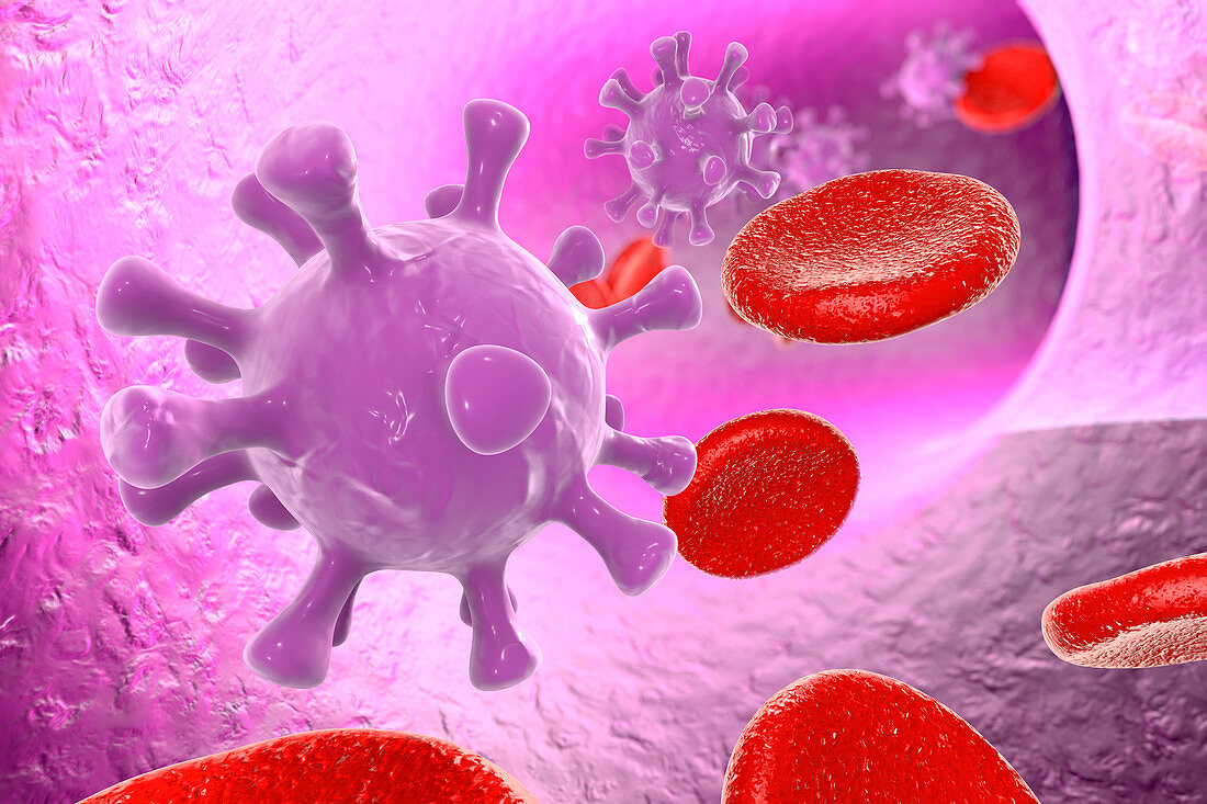HIV in blood,illustration