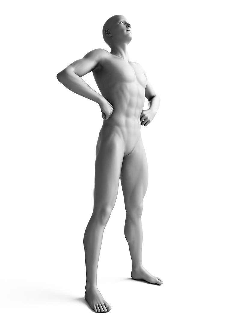 Man standing,hands on hips,illustration