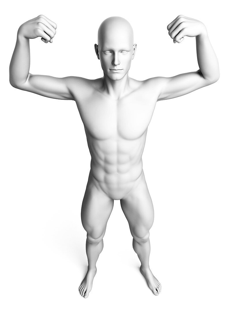 Man flexing his muscles,illustration