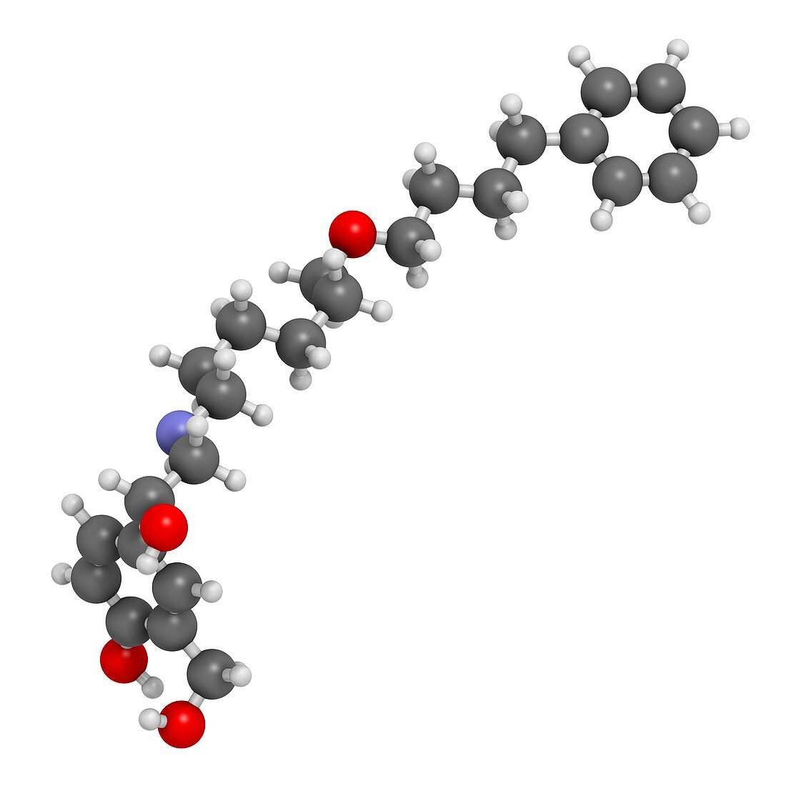 Salmeterol asthma drug molecule