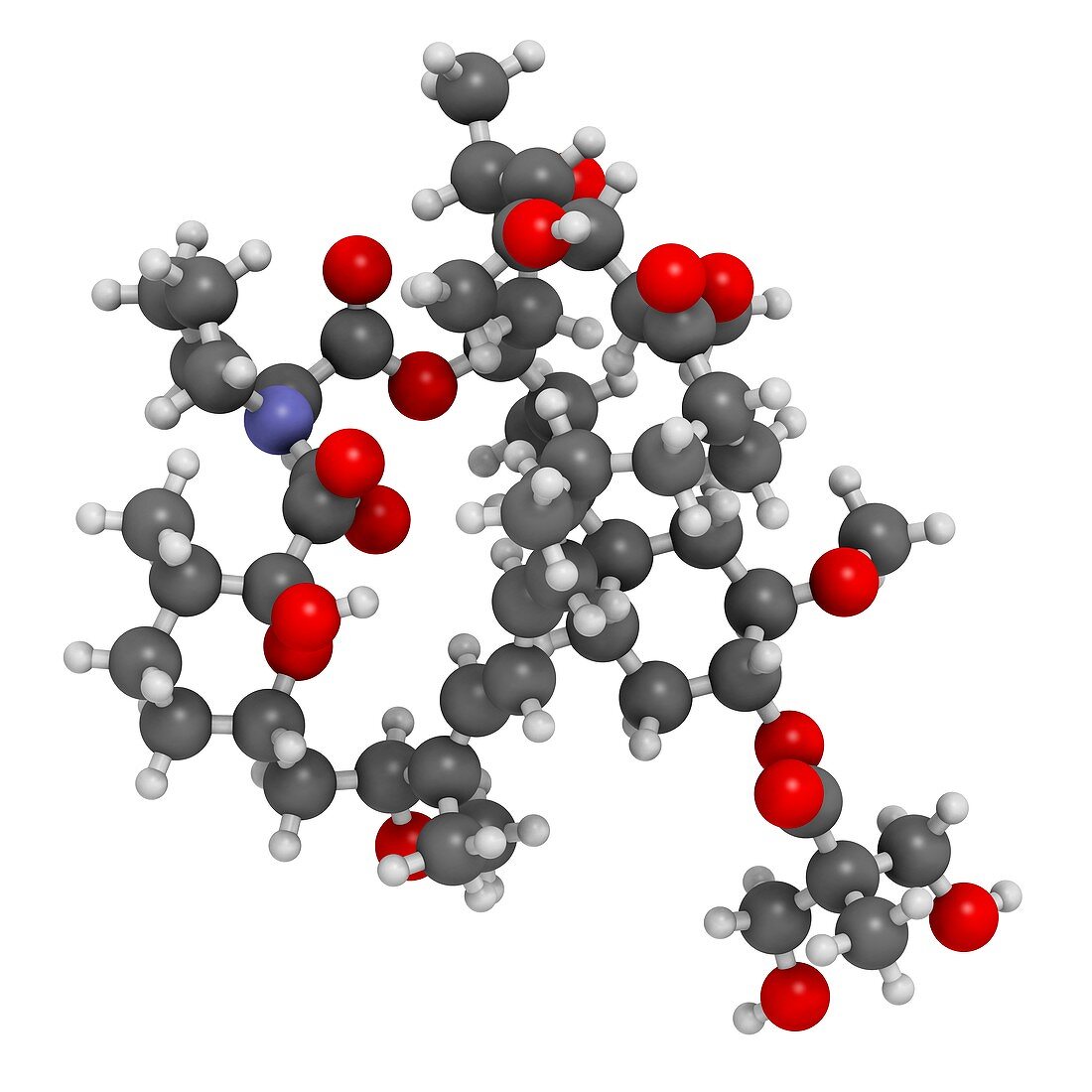 Temsirolimus cancer drug molecule