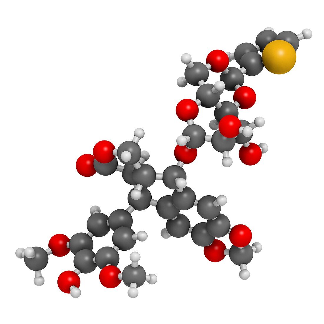 Teniposide cancer drug molecule