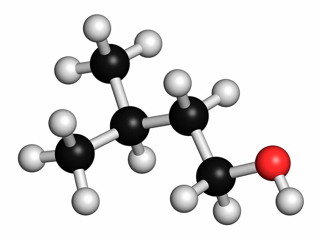 Isoamyl alcohol molecule