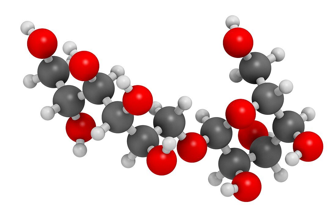 Isomalt sugar substitute molecule