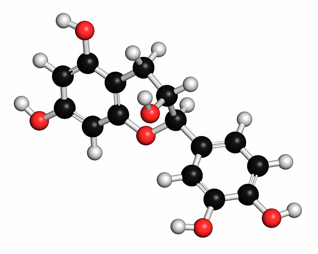 Epicatechin chocolate flavonoid molecule