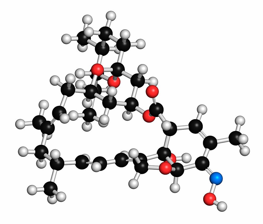 Milbemycin oxime antiparasitic drug