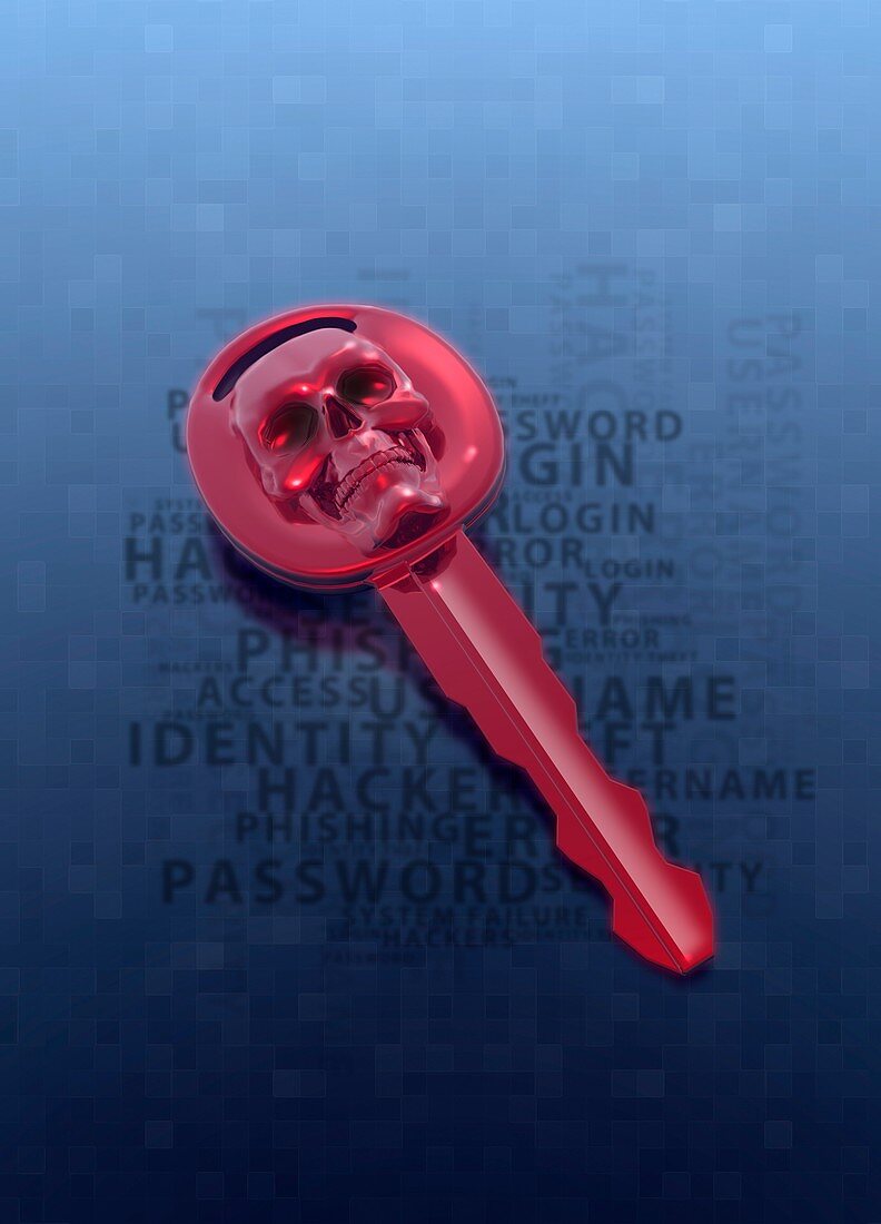 Key with skull