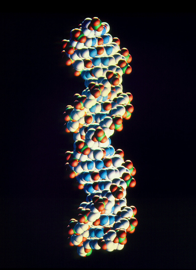 Computer graphic of DNA double helix structure
