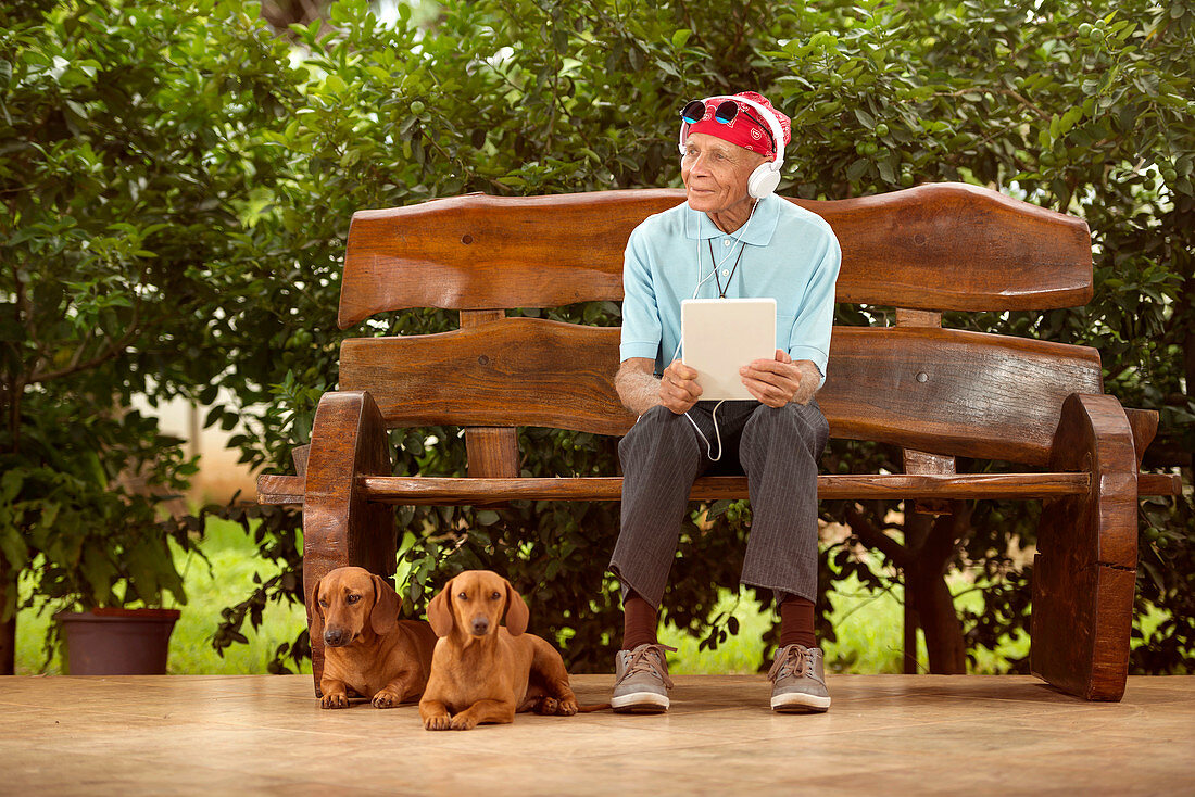 Man sitting on bench with dogs