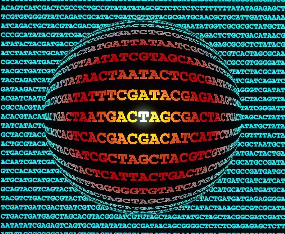 Artwork of a DNA sequence around a sphere