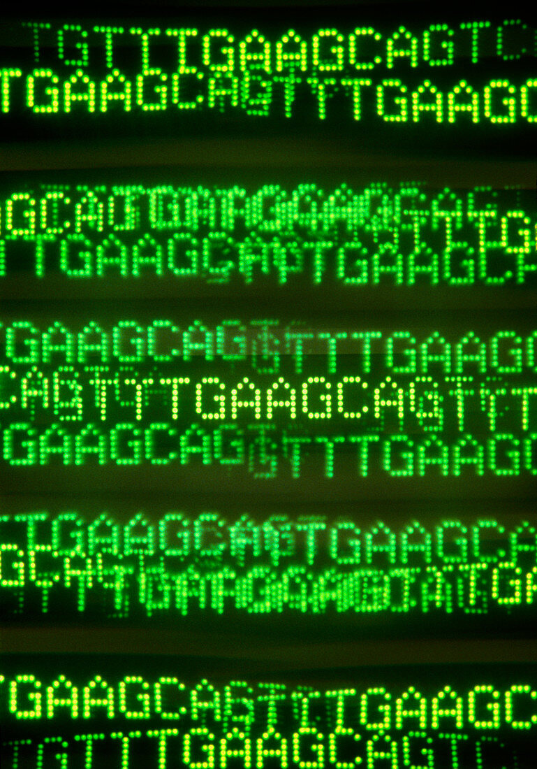 Multiple exposure image of DNA base sequences