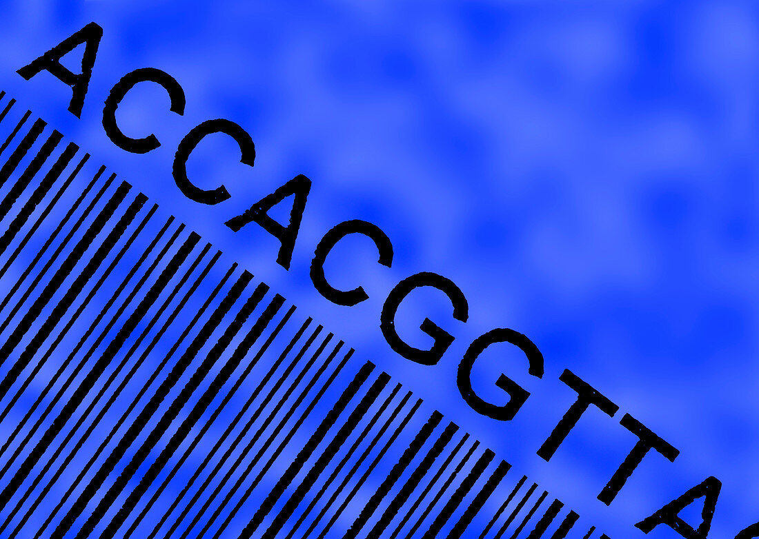 Genetic sequence
