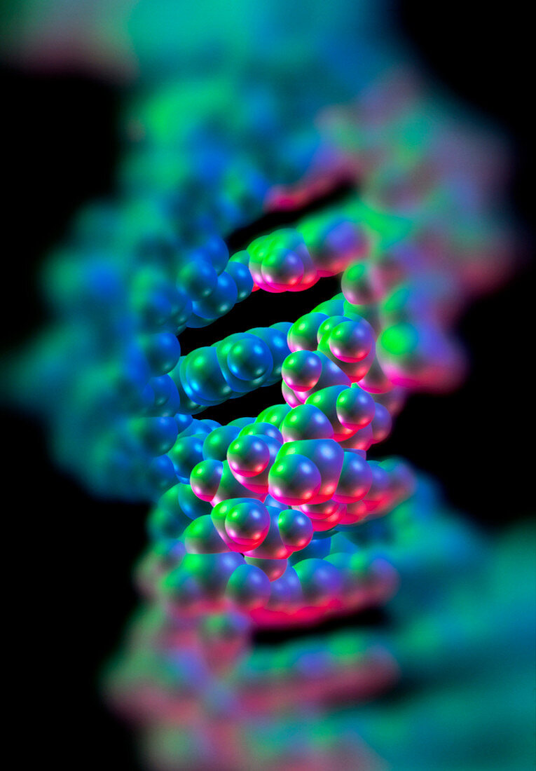 DNA double helix structure