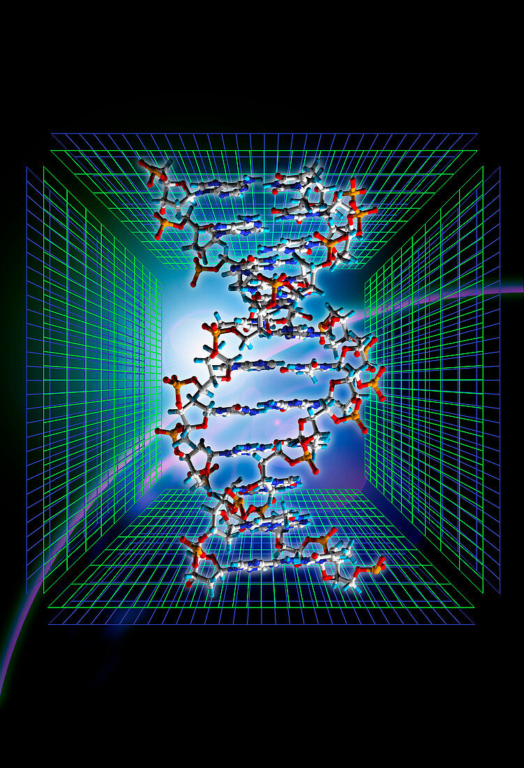 Computer graphic of a strand of beta DNA