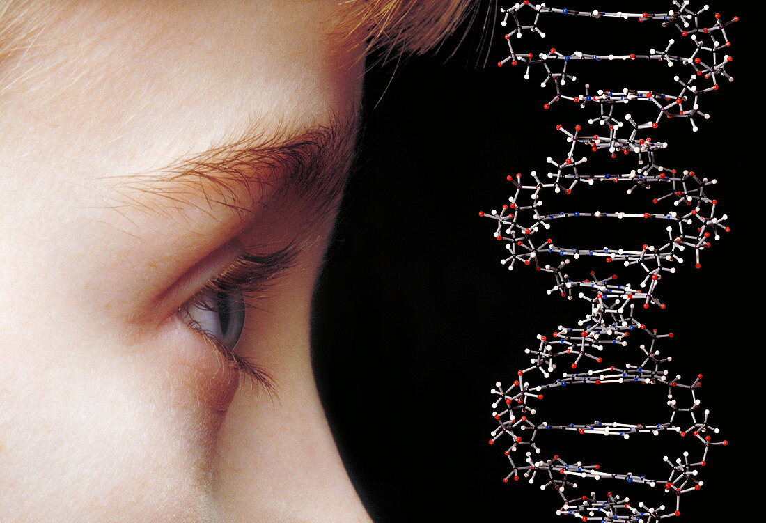 Young child's face and DNA molecule
