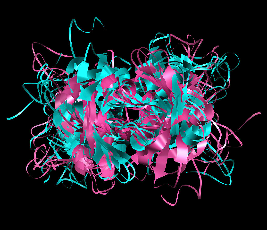 Mouse chromatin protein,molecular model