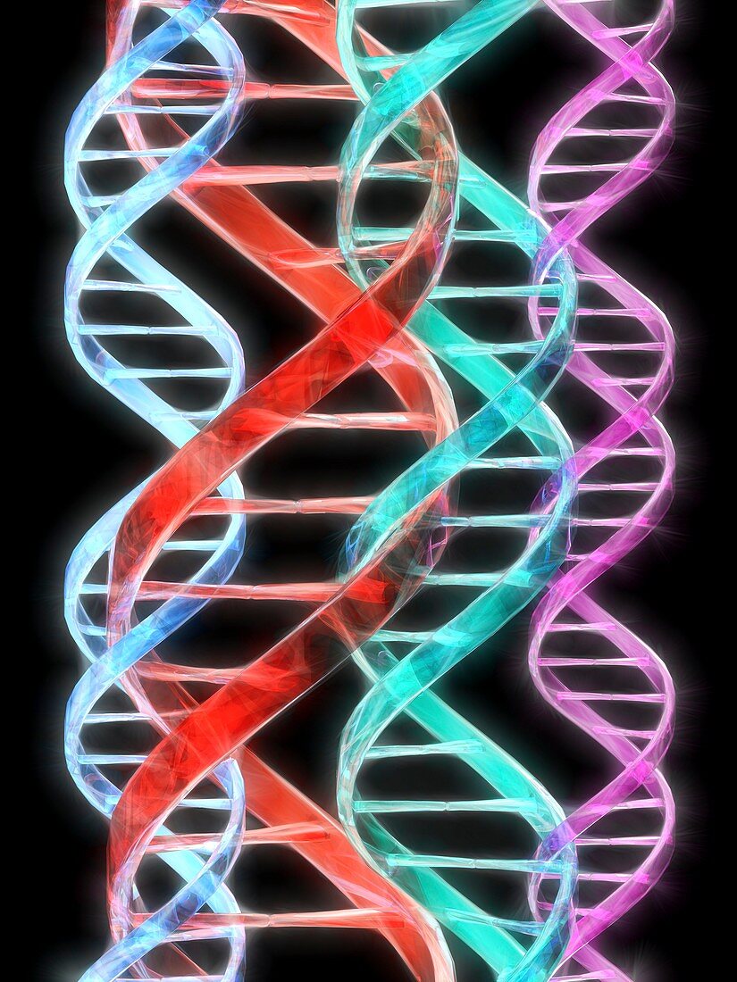 DNA molecules,computer artwork