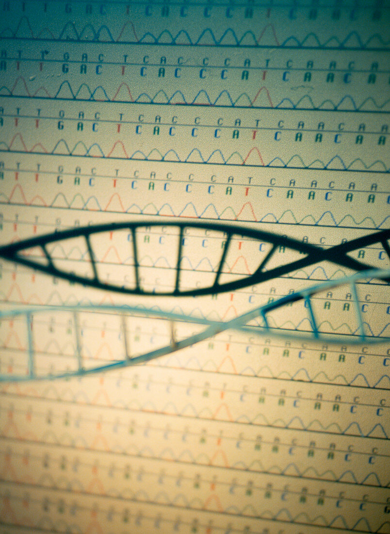DNA and a genetic sequence
