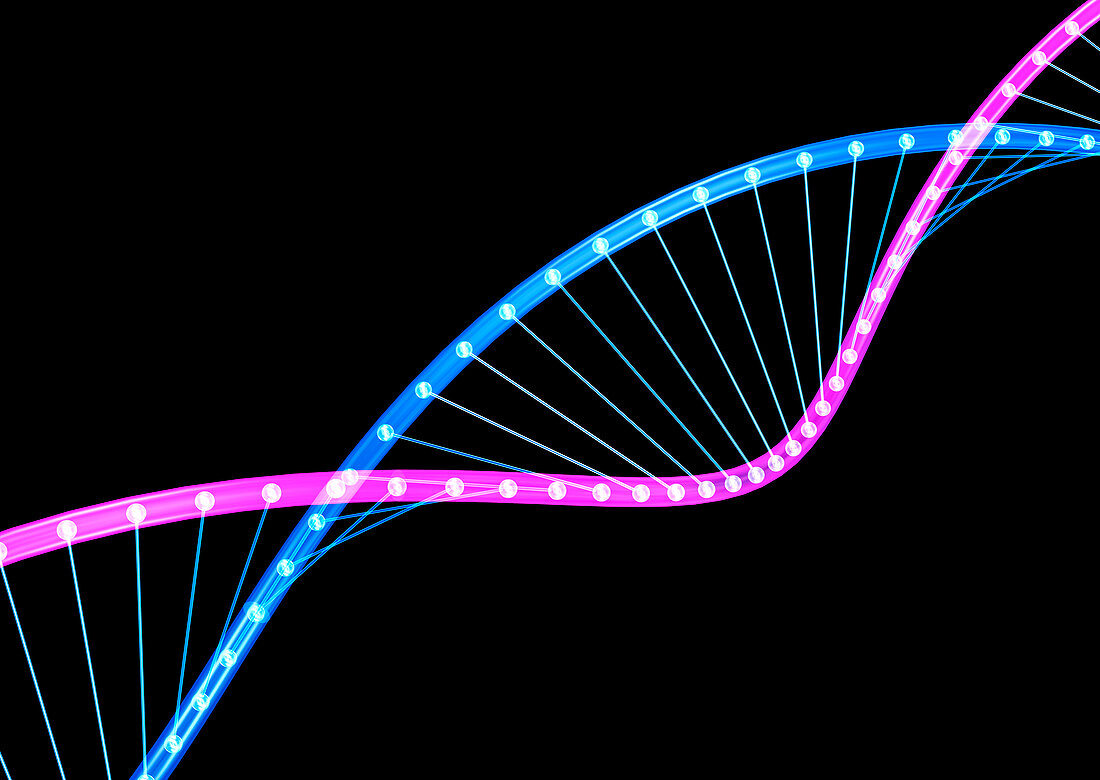 DNA