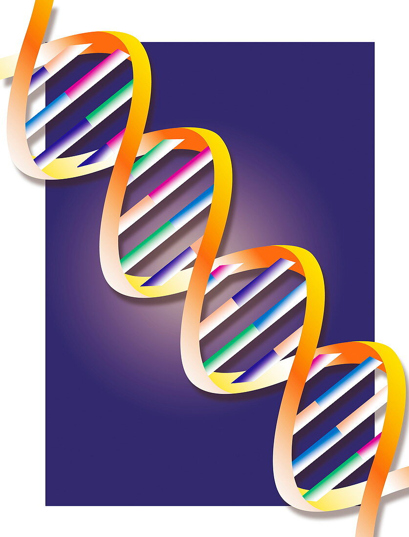 DNA